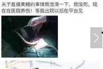 黄鳝女主播违法,网络直播乱象的警示与反思