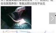 黄鳝女主播违法,网络直播乱象的警示与反思