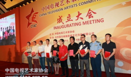 中国视协演员委员会,推动影视行业繁荣发展的中坚力量