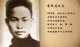 文豪个人资料,才华横溢的文学巨匠，笔耕不辍的文学探索者