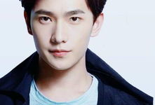 韩国吴姓明星名字