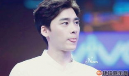 中国十大男明星排行榜,魅力与实力并存的璀璨之星