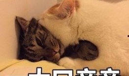 抱住亲一大口表情包,亲一大口表情包的温馨演绎