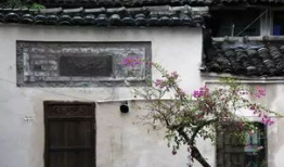 于园的背景,探寻历史沉淀与现代生活的交融之地