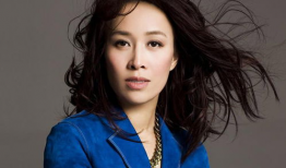 那英资料个人资料,华语乐坛天后，音乐人生的多彩篇章