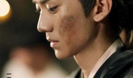 演员张正阳年龄,张正阳演绎人生精彩篇章