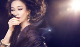 那英资料个人资料,华语乐坛天后，音乐人生的多彩篇章