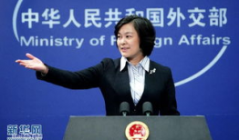 华春莹简历家庭背景,出身名门，外交才女的家世背景揭秘