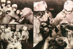 王洪文遗体照片,一段历史的见证与沉思