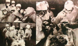 王洪文遗体照片,一段历史的见证与沉思