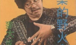 演员麦大成,影视界的璀璨星辰