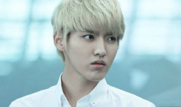 exodo资料,信仰与自由的启示录