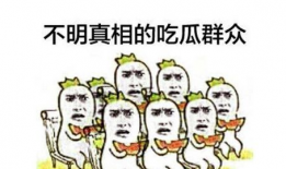 吃瓜群众娱乐素材视频