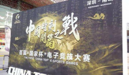 深圳高端网红圈,璀璨星光下的社交新势力