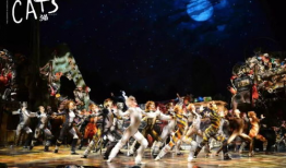 音乐剧猫创作背景