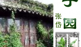 于园的背景,探寻历史沉淀与现代生活的交融之地