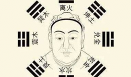 面部所属八卦