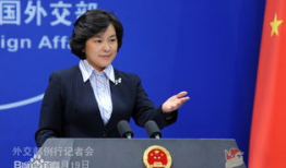 华春莹简历家庭背景,出身名门，外交才女的家世背景揭秘