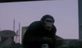 猿族崛起2花絮,幕后秘辛与精彩花絮大揭秘