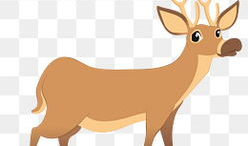 鹿动漫图片,梦幻森林中的奇幻之旅