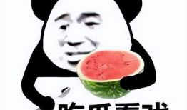 热巴式乖巧表情包,萌动瞬间，治愈心灵